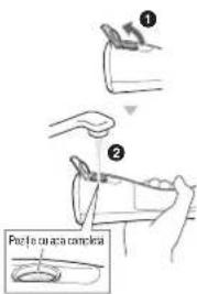① ② Poz le ou aca camelia