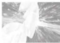 PANASONIC EW1513 - To clean with the water jet. - 1