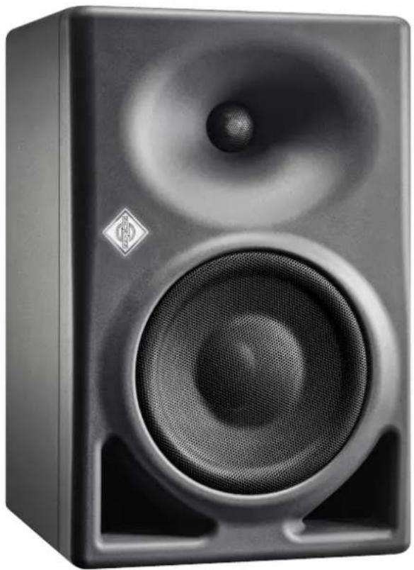 NEUMANN TLM 170 R - 2