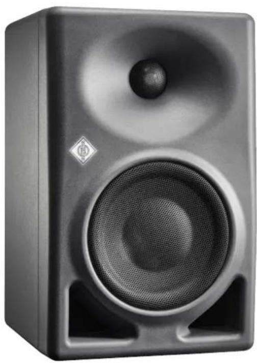 NEUMANN TLM 170 R - 1