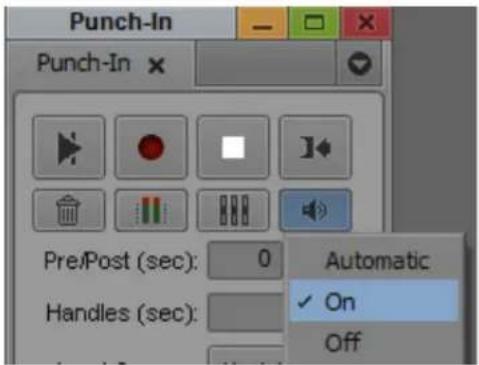 Punch-In Punch-In × Pre/Post (sec): 0 Handles (sec): Automatic ✓ On Off