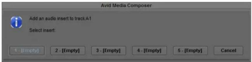 Avid Media Composer Add an audio insert to track A1 Select insert: 1 - [Empty] 2 - [Empty] 3 - [Empty] 4 - [Empty] 5 - [Empty] Cancel