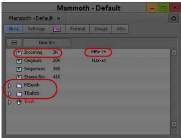 Mammoth - Default Bins Settings Format Usage Info New Bin Incoming 3K MSmith Originals 20K TBaksh Sequences 38K Stereo Bin 41K MSmith TBaksh Trash