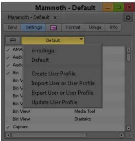 Mammoth - Default Bins Settings Format Usage Info Default ✓ AMA ✓ Audio ✓ Audio ✓ Bin Bin v Bin v Bin v Bin v Bin v Bin View Media Tool Bin View Statistics ✓ Capture