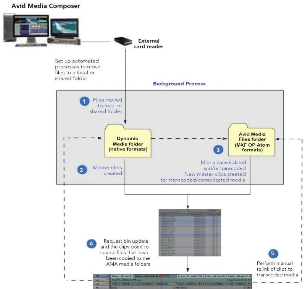 Avid Media Composer 7 - The Avid Media Access (AMA) Workflow - 1