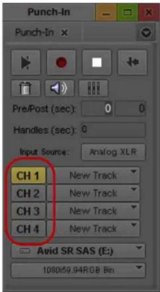 Punch-In Punch-In Pre/Post (sec): 0 0 Handles (sec): 0 Input Source: Analog XLR CH 1 New Track CH 2 New Track CH 3 New Track CH 4 New Track Avid SR SAS (E): 1080/59.94RGB Bin