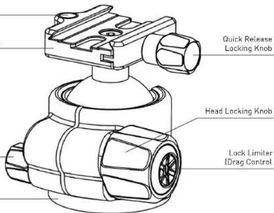 Induro BHL2S - INDURO - 1