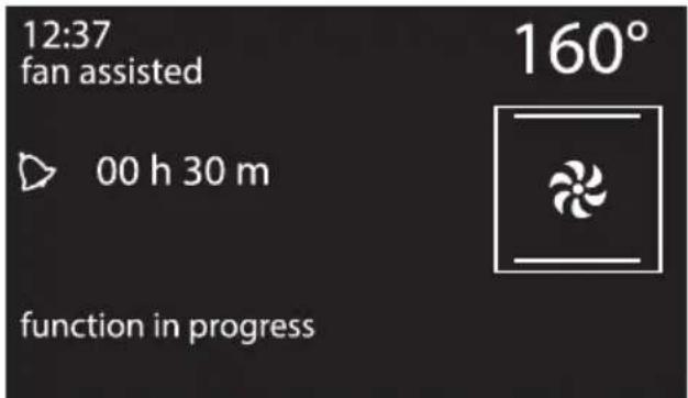 12:37 fan assisted 00 h 30 m function in progress 160°