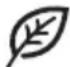 SMEG SF6101TVNO - For energibesparelse - 1