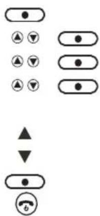 graph TD A["●"] --> B["▲"] A --> C["▼"] D["▲"] --> E["▲"] D --> F["▼"] G["▲"] --> H["▲"] G --> I["▼"] J["●"] --> K["▲"] J --> L["▼"] M["●"] --> N["▲"] M --> O["▼"] P["●"] --> Q["▲"] P --> R["▼"]
