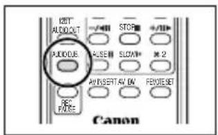 I2BT ALDOOUT -/-/MI STOP +/DP PUODUE ALBEM SLOW* × 2 AVINSERT AV ON REVESET RESET FOXE Canon