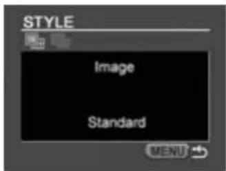 STYLE Image Standard MENU