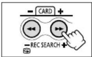 - CARD + - REC SEARCH +