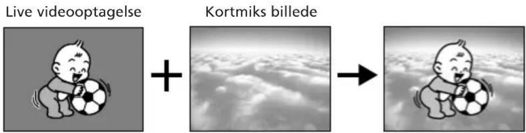 Live videooptagelse + Kortmiks billede →