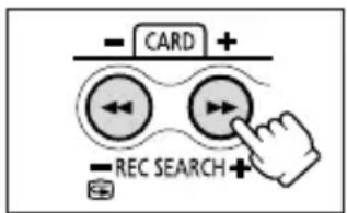 - CARD + - REC SEARCH +