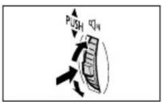 PUSH QIN