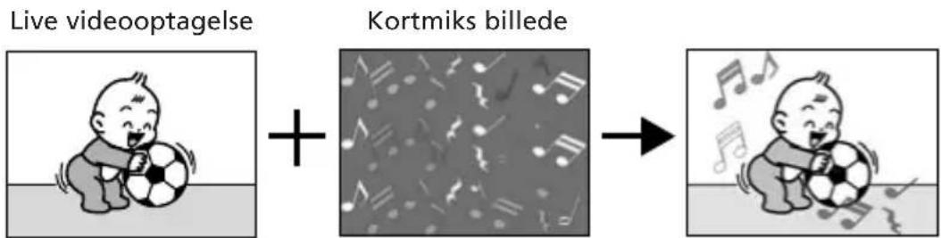 Live videooptagelse + Kortmiks billede →