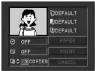 DEFAULT DEFAULT DEFAULT OFF PAPER OFF PRINT 3 COPIES CANCEL