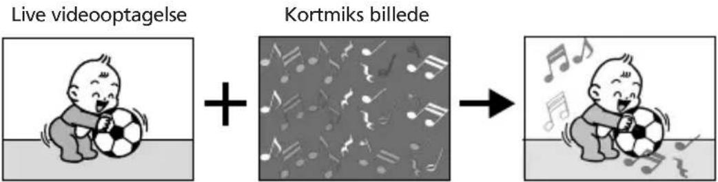 Live videooptagelse + Kortmiks billede