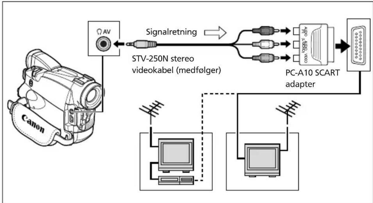 CANON MV730i - TV med SCART indgang - 1