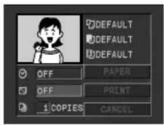 DEFAULT DEFAULT DEFAULT OFF PAPER OFF PRINT 1 COPIES CANCEL