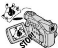 CANON MV500i - Still-billeder - 1