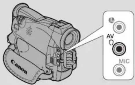 Canon AV MIC