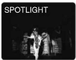 SPOTLIGHT