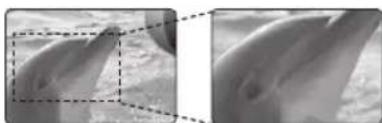SAMSUNG SC-MX10 - Capture Visions Farther Than The Eye Can See (34x Optical/1200x Digital Zoom) - 1
