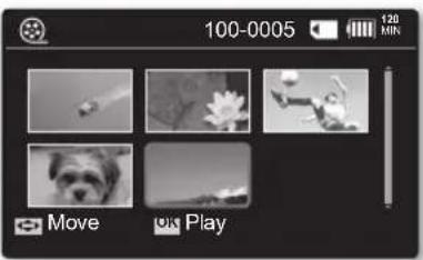 100-0005 120 MIN Move ok Play