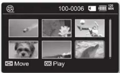 100-0006 120 MIN Move OK Play