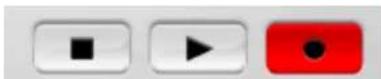 Metric Halo ULN-2 - Record Panel Description - 3