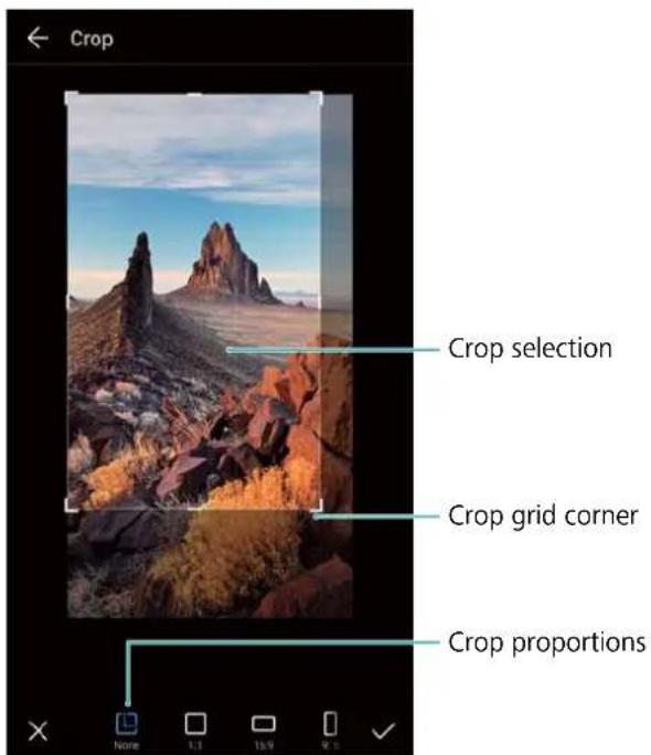 Crop Crop selection Crop grid corner Crop proportions