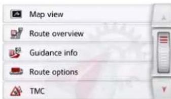 Map view Route overview Guidance info Route options TMC