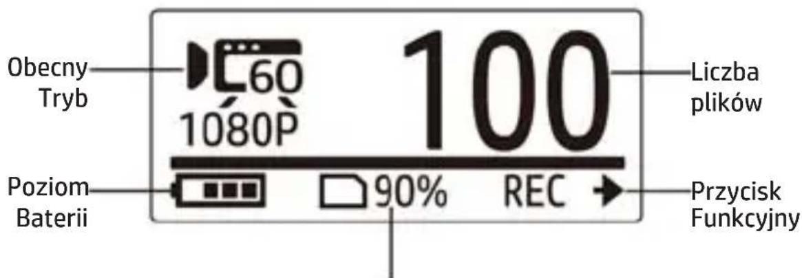 Obecny Tryb 60 1080P 100 Liczba plików Poziom Baterii 90% REC Przycisk Funkcyjny