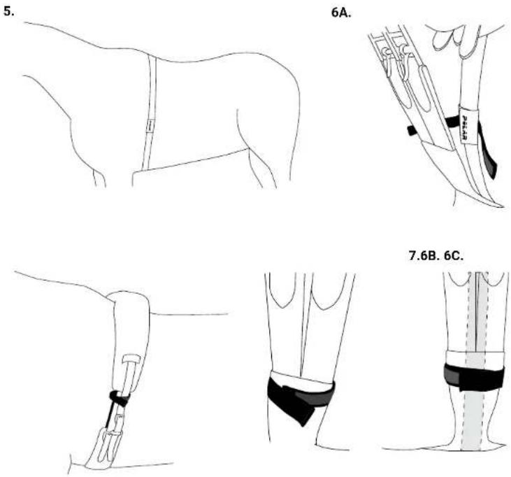 POLAR Equine - Attach the belt - 2