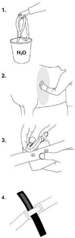 POLAR Equine - Attach the belt - 1