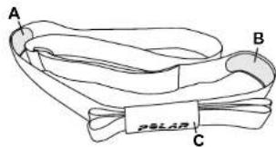 POLAR Equine - EQUINE BELT - 1