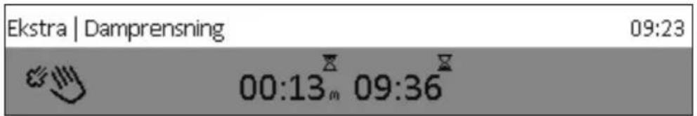 Ekstra | Damprensning 09:23 00:13ₘ 09:36