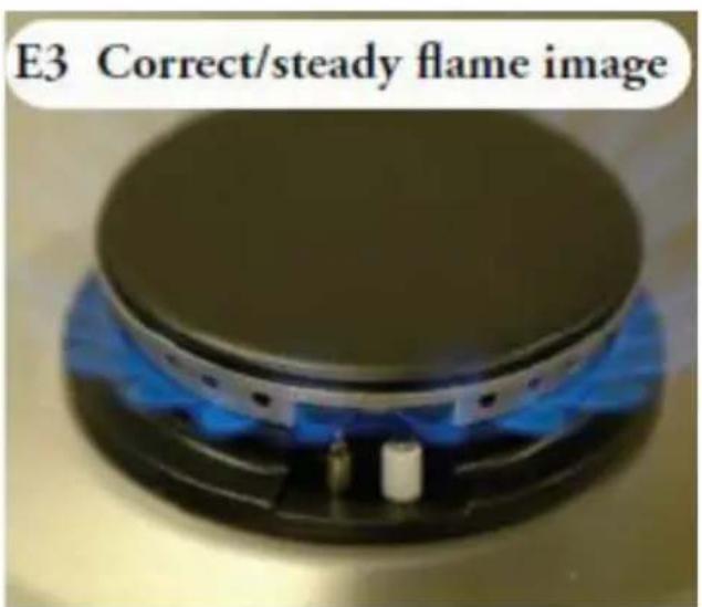 E3 Correct/steady flame image