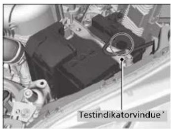 Testindikatorvindue*