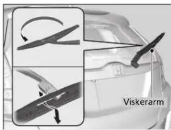 Viskerarm