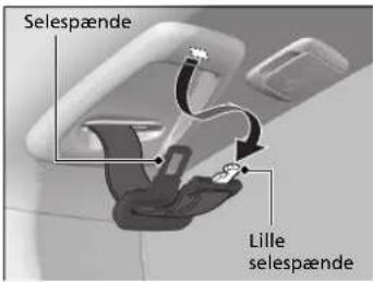 Selespænde Lille selespænde
