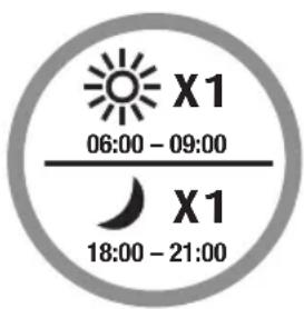 X1 06:00 - 09:00 X1 18:00 - 21:00