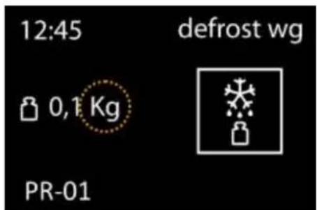 12:45 defrost wg 0,1 Kg PR-01