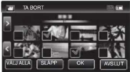 TA BORT VALJ ALLA SLAPP OK AVSLUT