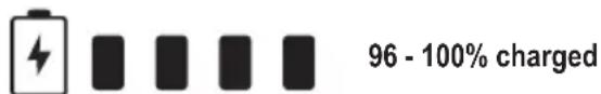 96 - 100% charged