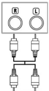 R L