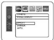 CTRLS PANEL DISPLAY BRIGITI DAMLER AUTO