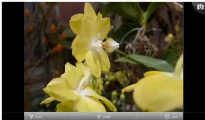 VIEWSONIC ViewPad 7x - Reviewing a photo - 1